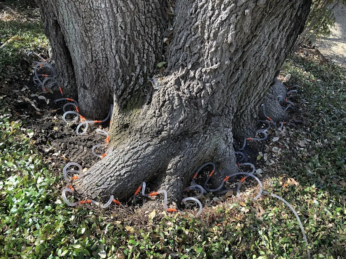 Detailed Shrub and Hedge Trimming job site in Lesterville